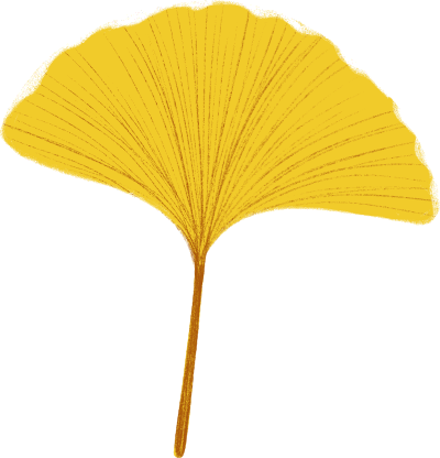 kt, 高铁二等座 kt, 高铁二等座